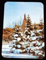 1983 Календарик СССР -=ПРИРОДА=- флора красота лес деревья реклама страхование ГОССТРАХ