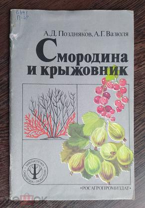 Книга: Крыжовник