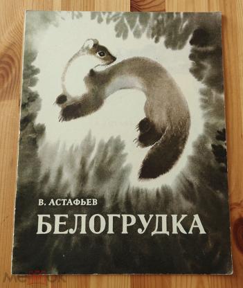 Белогрудка читательский дневник. Белогрудка Астафьев иллюстрации. В П Астафьев Белогрудка. Белогрудка Астафьев картинки. Белогрудка иллюстрации к рассказу Астафьева.