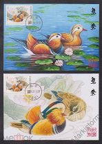 Птица мандаринка рисунок (44 фото)
